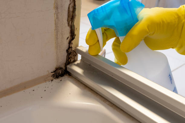 Best Mold Testing  in Mount Hope, NJ