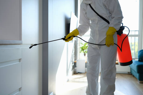 Certified Mold Removal in Mount Hope, NJ