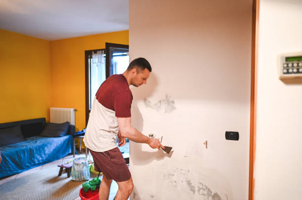 Best Certified Mold Removal  in Mount Hope, NJ